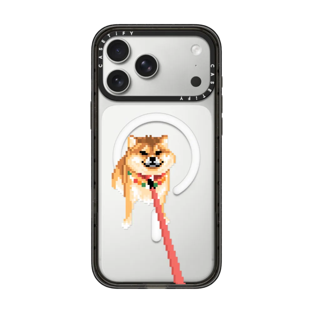Stubborn Shiba Inu