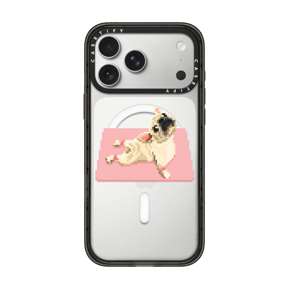 Yogi Frenchie