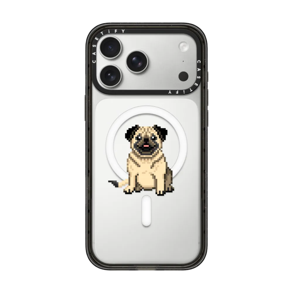 Photogenic Pug